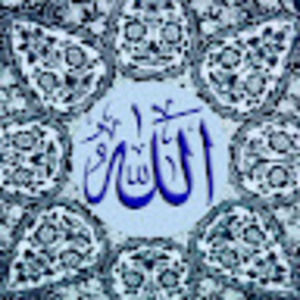 Meet your Posher, Faranaaz